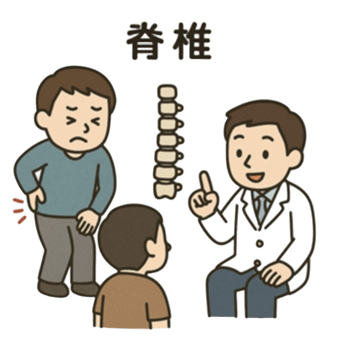 脊椎疾患